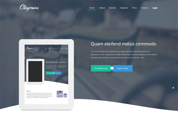 ddos攻击防御手段